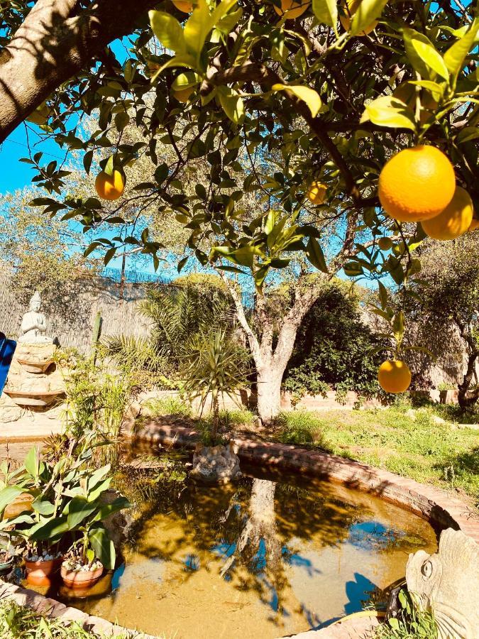La Casita Del Cactus - Casa De Campo Con Piscina الكالا ذي غواذَيْرا المظهر الخارجي الصورة